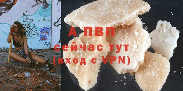 спиды Новодвинск