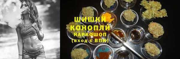 спиды Новодвинск