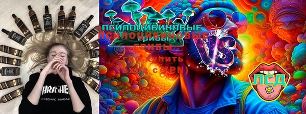 СК Новокубанск