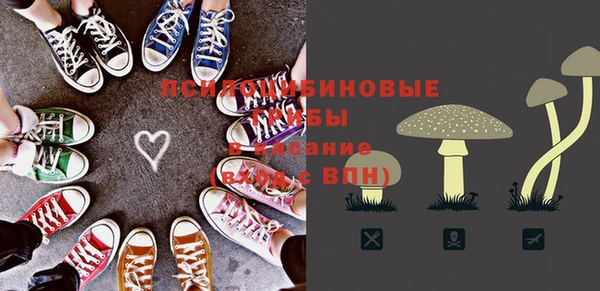 спиды Новодвинск