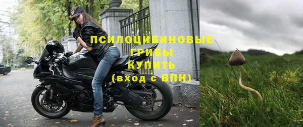 ГАЛЛЮЦИНОГЕННЫЕ ГРИБЫ Няндома