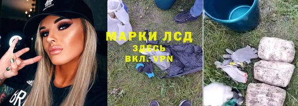 спиды Новодвинск
