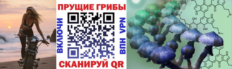 Галлюциногенные грибы MAGIC MUSHROOMS  Купить где  Козловка 